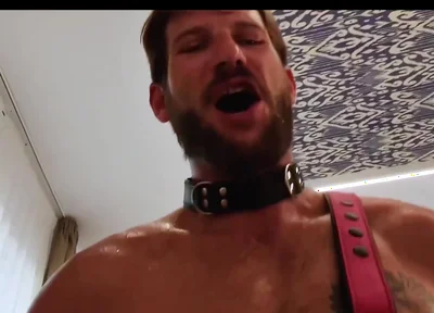 Anal Best of 2025