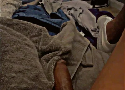 Brown Cock