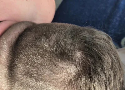 Hairy Stepdaddy Rimming and Railing His Fuck Toy and Cums a Lot