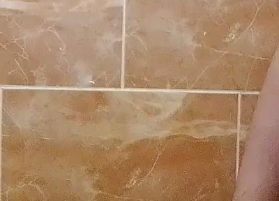 I Made a Video in the Toilet While Taking a Shower.