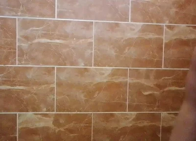 I Made a Video in the Toilet While Taking a Shower.