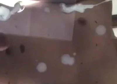 Snooped on My Young Bro's Phone This Hot Video