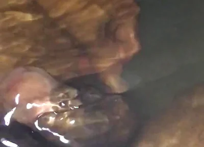Peeing in the Bathtub