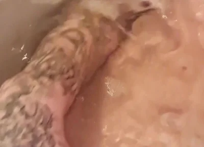 Splash