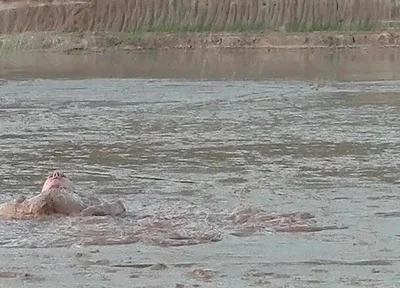 Exploring the Deep and Creamy Mud Pond