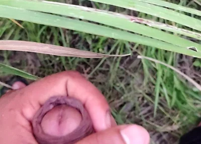 Masturbating in the Sugarcane Field