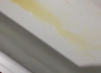 Peeing in the Bathtub