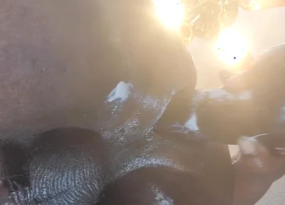 Thick 12 Inch BBC Makes My Hole Beg for Mercy