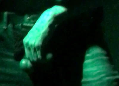 Young Jock Guy Masterbates in Club