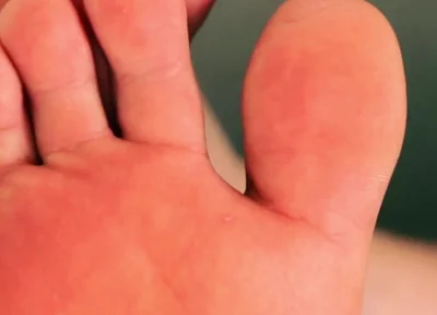 Sniff & Submit Foot Worship Trainer