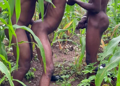 How I Had Sex with This Thuggish Guy with Huge Long Dick Inside a Corn Farm Land