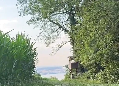 Risky Bwc Stroking Outdoors on Meadow with Lake View - Big Cumshot