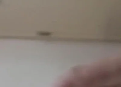 Quick Tease