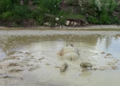Me Playing in Deep Light Mud