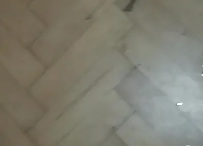 Xxxxxx