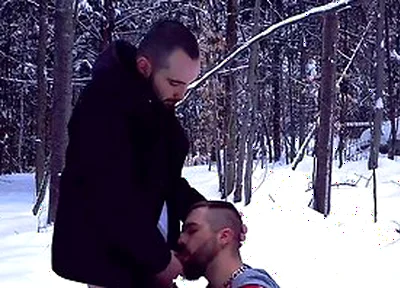 Two Straight Bearded Pig Unloading Their Balls In The Snowy Fields