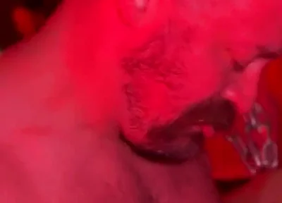 Bear Cruises the Dark Rooms
