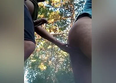 Border Sex Arg-urg-brasil