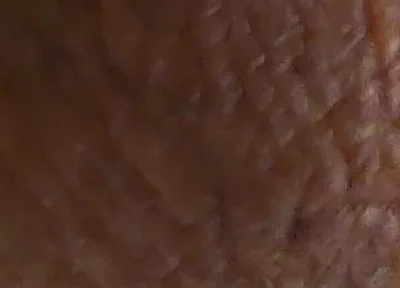 Closeup Desi Dick