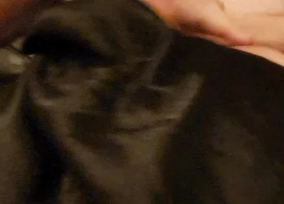 Slut's Cock and Tit Games