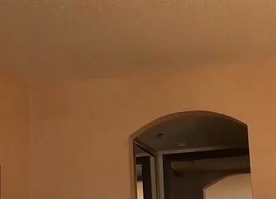 Bear Gets a Blowjob