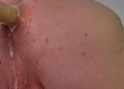 Pervert Farting Pig