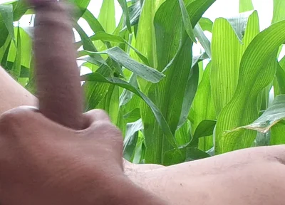 Worldwide Viral Desi Hunk Solo Action Part 4 - Premium Faceless Amateur Close-up Raw Stroking Session 4K