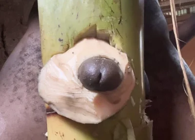 Hoter Way to Be Very Hard Strong Straight Cum Cute