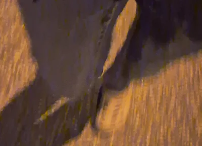 Pissing Jeans Outdoors