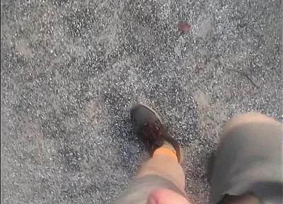 Went for a Walk at the Truck Stop