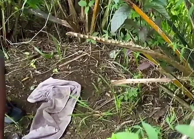 Outdoor Fucking My Chubby Friend