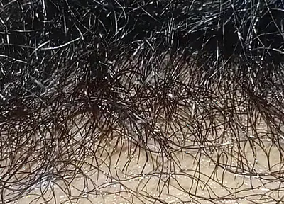 Handboy Masturbation After Frist Time