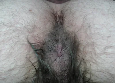 Cock Balls and Hairy Ass of Farts