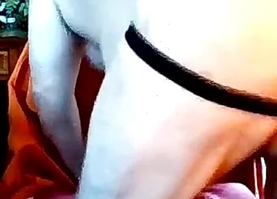 Bear Jerks off on Cam - Makes Verbal Bcc Cum While Watching!