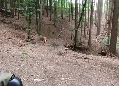 Wilderness Without Inhibitions Chasing in the Middle of the Forest
