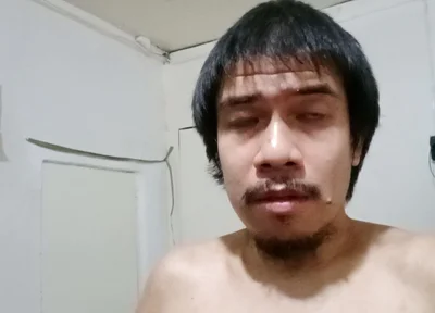 My Fighting Cock