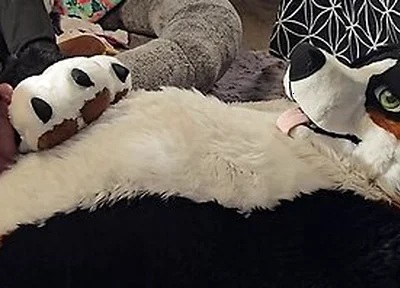 Pawslut Puppy Gets Back To Back Pawjobs With Massive 2nd Cumshot At The End