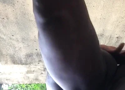 Hot Doggy