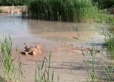 A Short Exploration of a New Mud Lake
