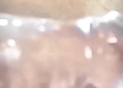 Who Orders Donuts with the Old Man's Penis