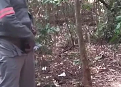 I Went to the Lagoon to Take a Piss and Masturbate.