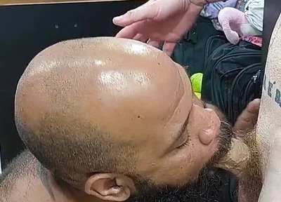 Taking Turns with the Dirty Bear's Ass