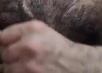 Hard Cock