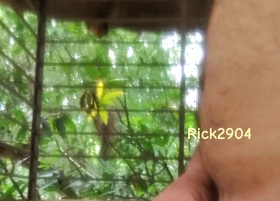 Playing with My Dick