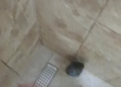 Masturbation Wash