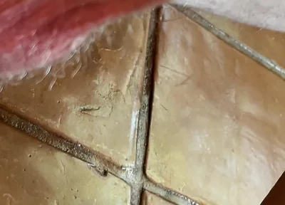 Dirty Talking Precum Covered Sloppy Cock