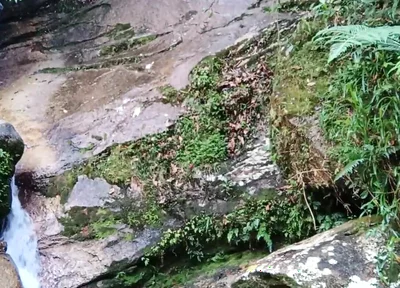 On a Walk to the River - Masturbation and Outdoor Urination