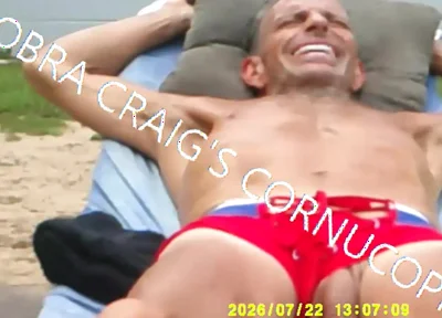 7-19-2026 the Cock the Sun Singing Venus Was Her Name Free Bird Wishing You Were Here