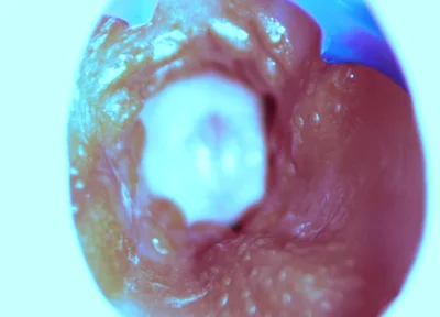 How I Fuck From the Inside! Camera Inside!