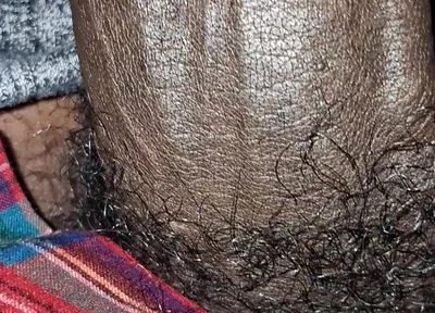 Big Chocolate Meat